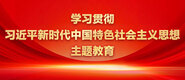 中国黄色电影bbw学习贯彻习近平新时代中国特色社会主义思想主题教育_fororder_ad-371X160(2)